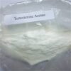 Testosterone Acetate Powder