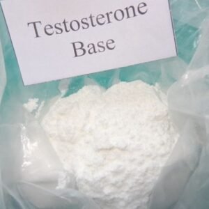 Testosterone Base Powder