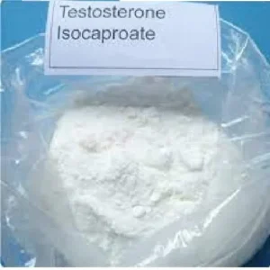 Testosterone isocaproate Powder