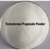 Testosterone Propionate Powder