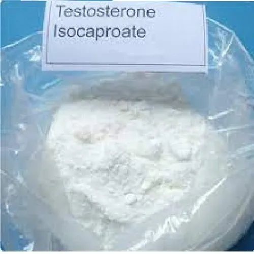 Testosterone isocaproate Powder