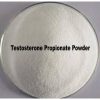 Testosterone Propionate Powder